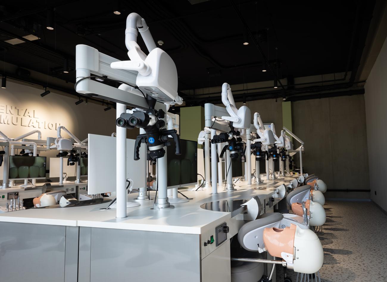 Sala Dental Simulation