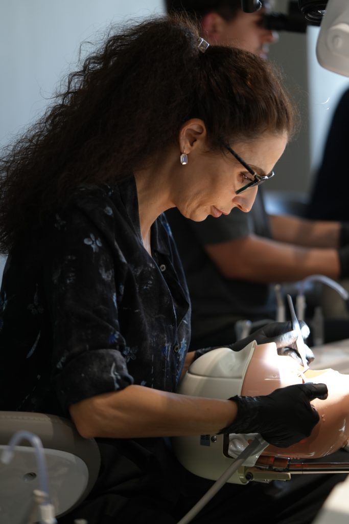 Dr. Vasile Cirimpei Course Photo Gallery
