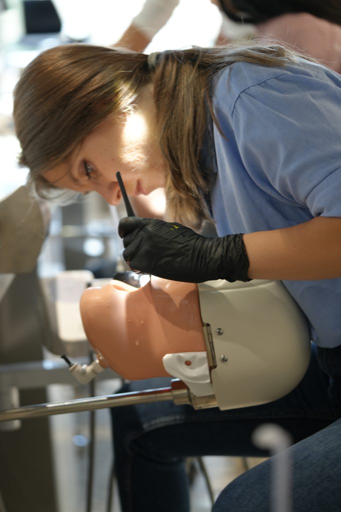 Dr. Vasile Cirimpei Course Photo Gallery