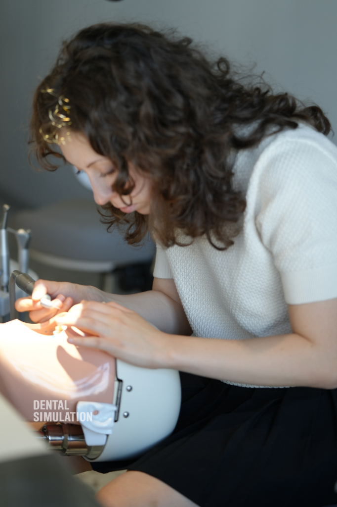 Dr. Vasile Cirimpei Course Photo Gallery