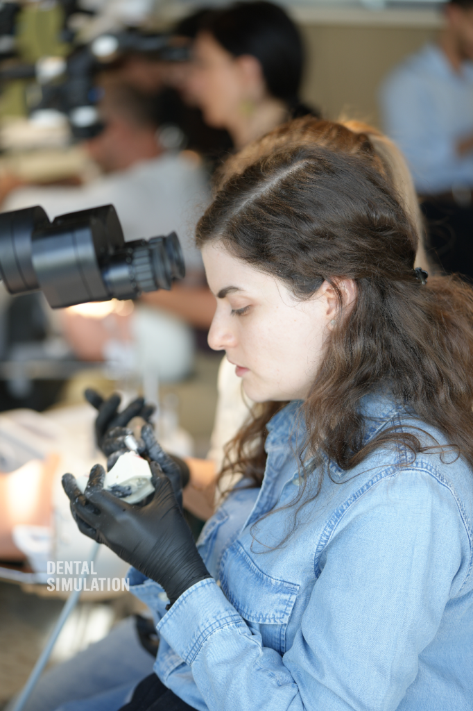 Dr. Vasile Cirimpei Course Photo Gallery
