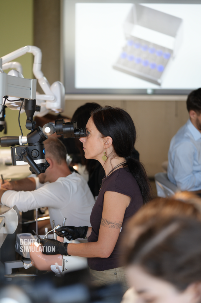 Dr. Vasile Cirimpei Course Photo Gallery