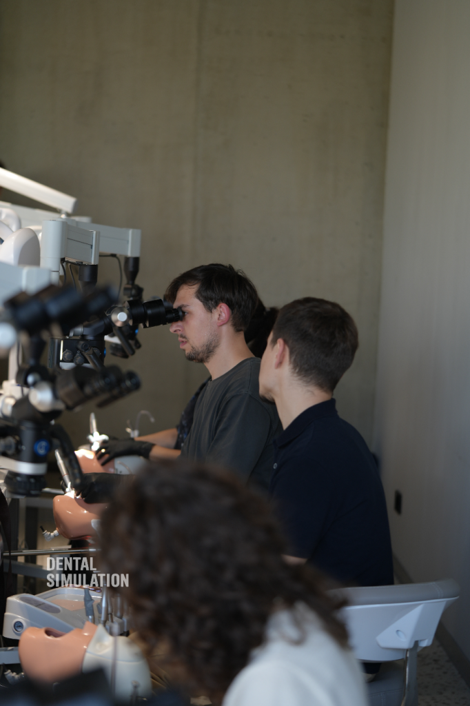 Dr. Vasile Cirimpei Course Photo Gallery