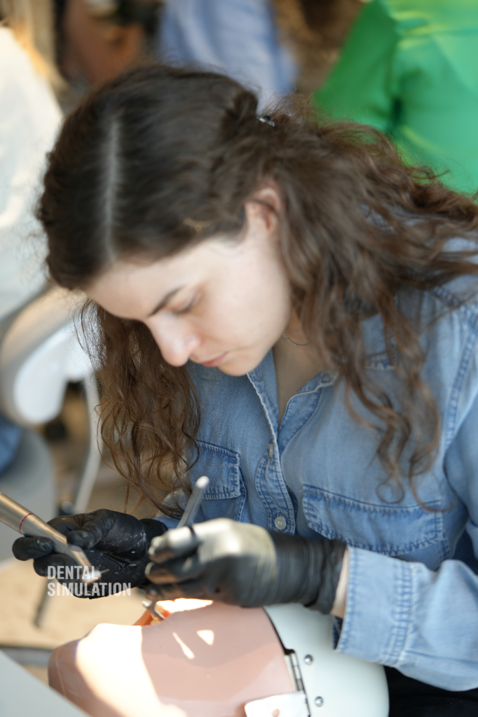 Dr. Vasile Cirimpei Course Photo Gallery