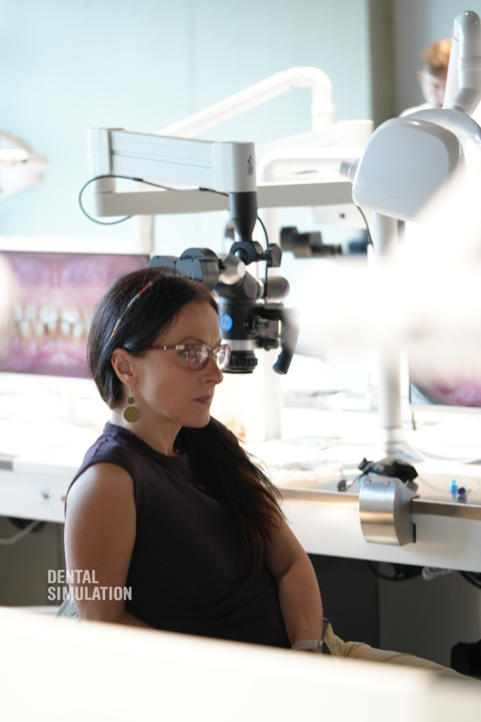 Dr. Vasile Cirimpei Course Photo Gallery