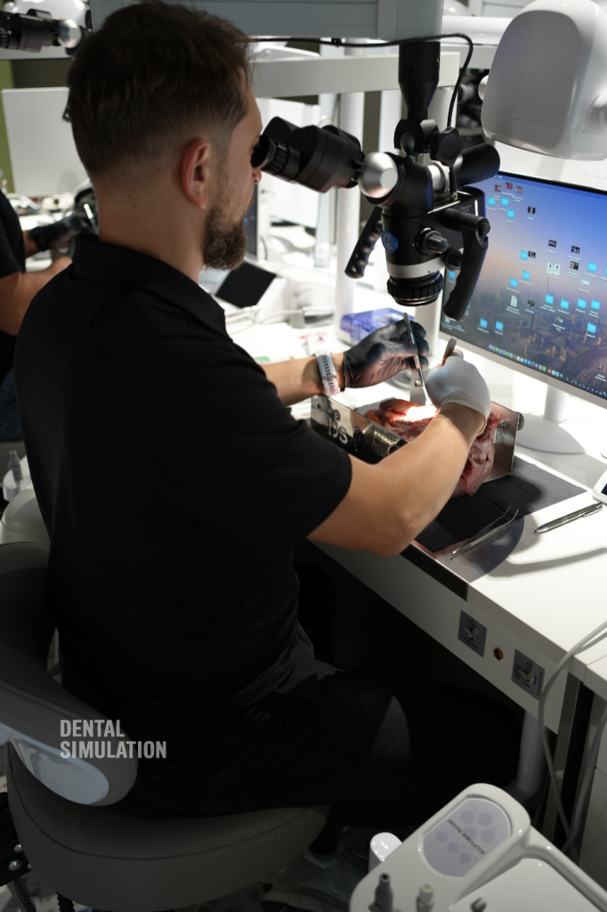 Dr. Ivo Pashov Course Photo Gallery