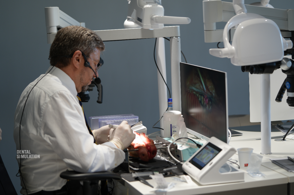 Dr. Sergiu Ciobanu Course Photo Gallery