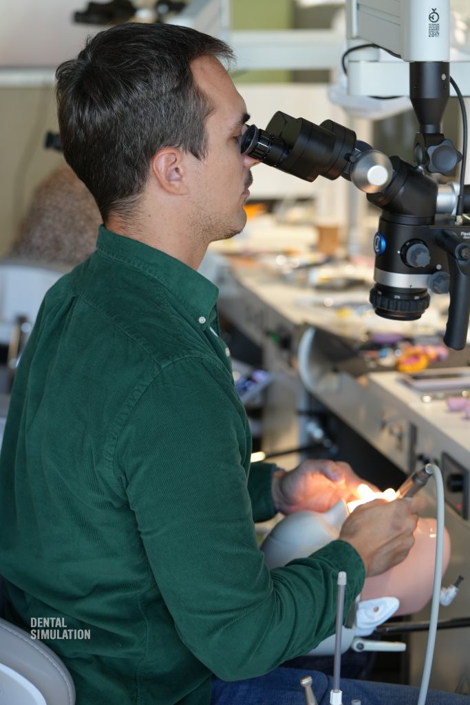 Dr. Mihai Săndulescu Course Photo Gallery