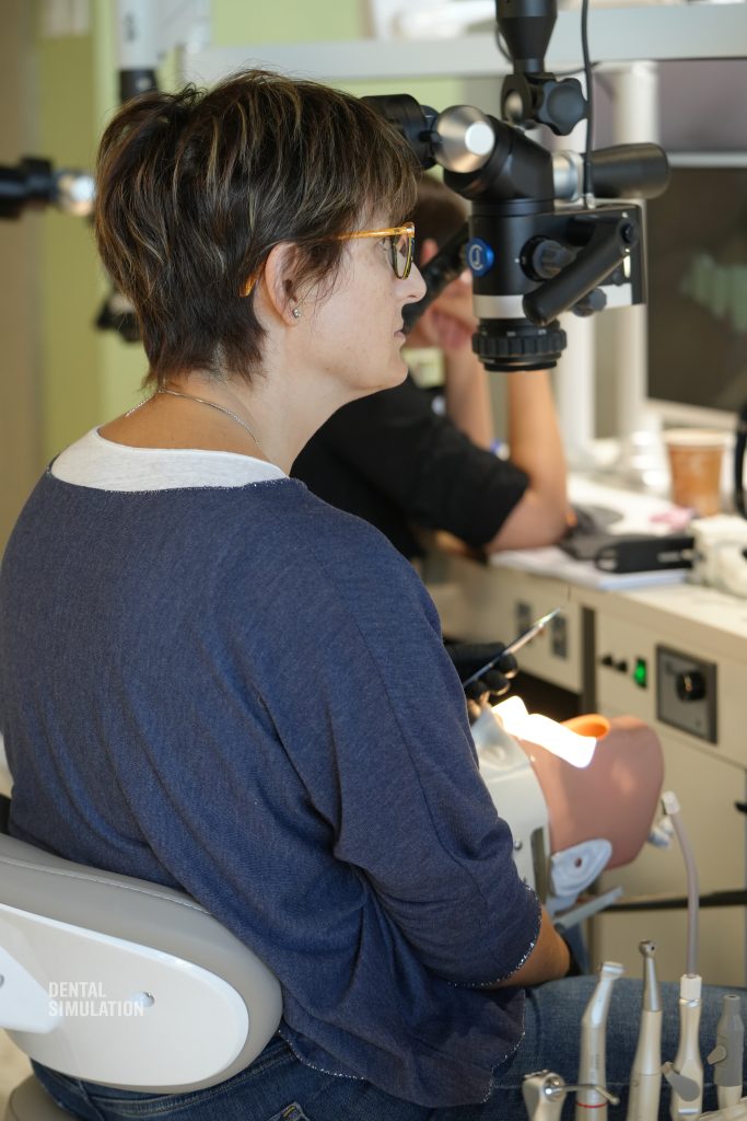 Dr. Mihai Săndulescu Course Photo Gallery
