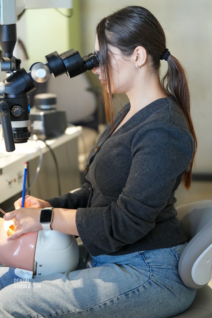 Dr. Mihai Săndulescu Course Photo Gallery