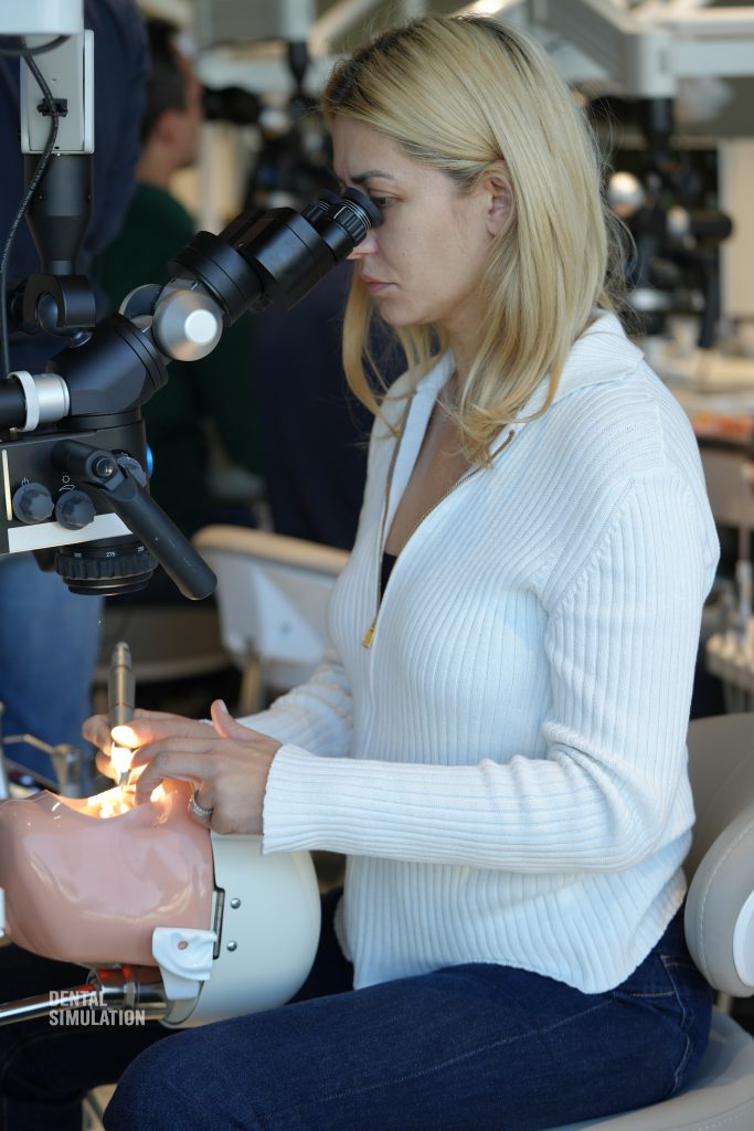 Dr. Mihai Săndulescu Course Photo Gallery