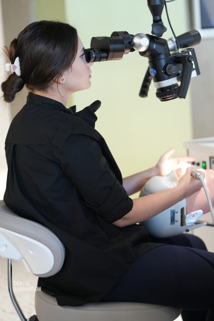 Dr. Mihai Săndulescu Course Photo Gallery