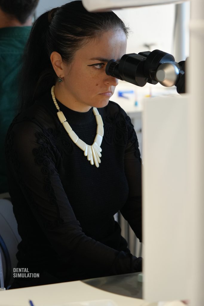 Dr. Mihai Săndulescu Course Photo Gallery