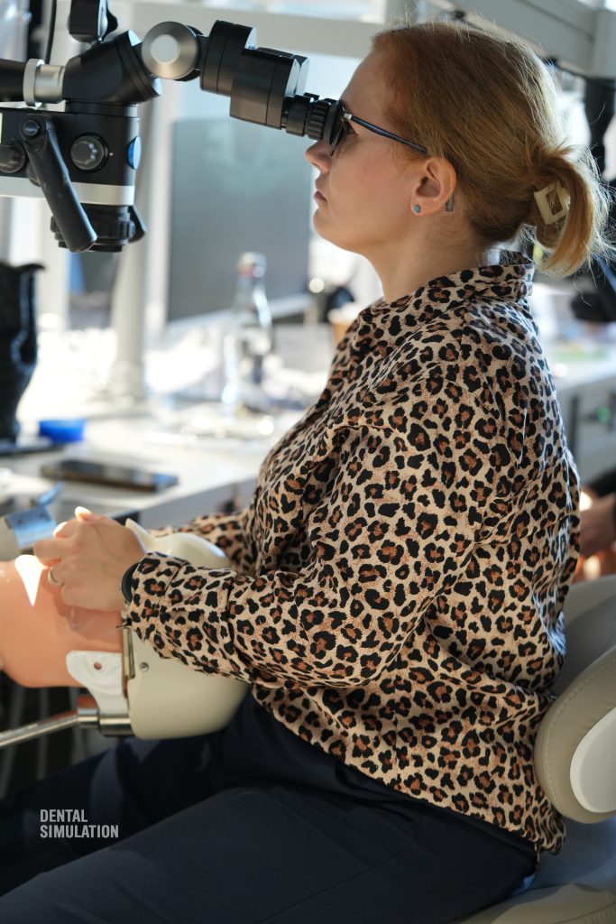Dr. Mihai Săndulescu Course Photo Gallery