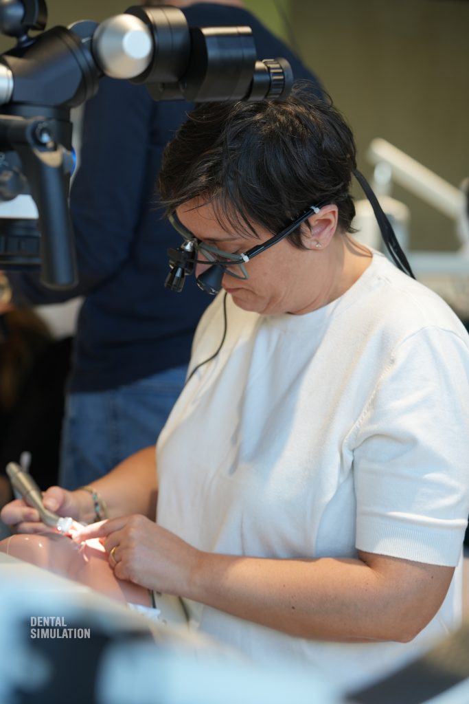Dr. Mihai Săndulescu Course Photo Gallery
