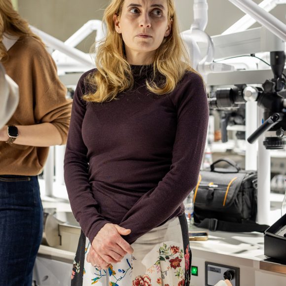 Ciprian Boca Course II