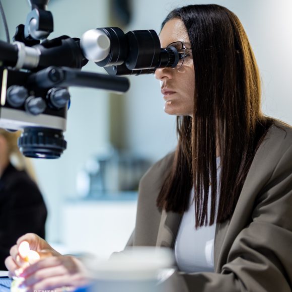 Dr. Adrian Stoica – Masterclass in endodontie photo gallery course