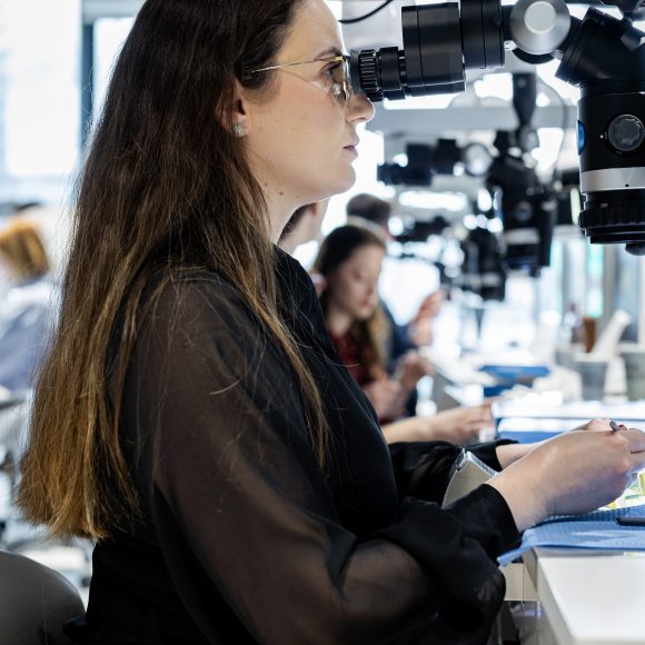 Dr. Adrian Stoica – Masterclass in endodontie photo gallery course