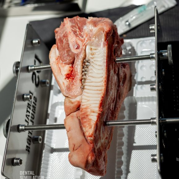 Dr. Mihnea Cafadaru Course Photo Gallery