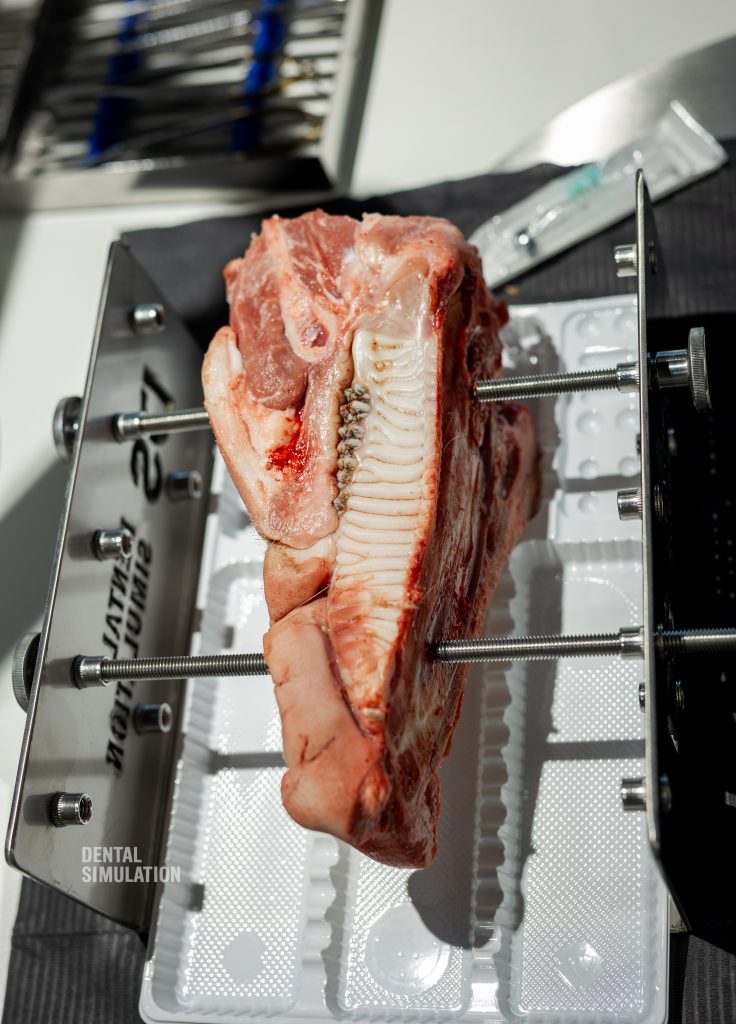 Dr. Mihnea Cafadaru Course Photo Gallery