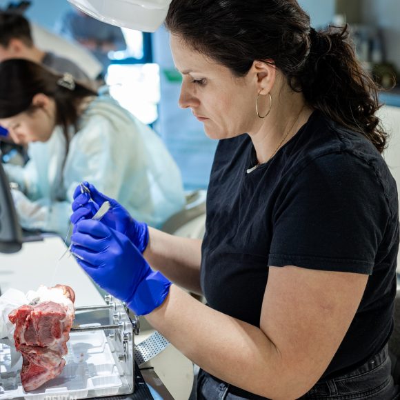 Dr. Mihnea Cafadaru Course Photo Gallery