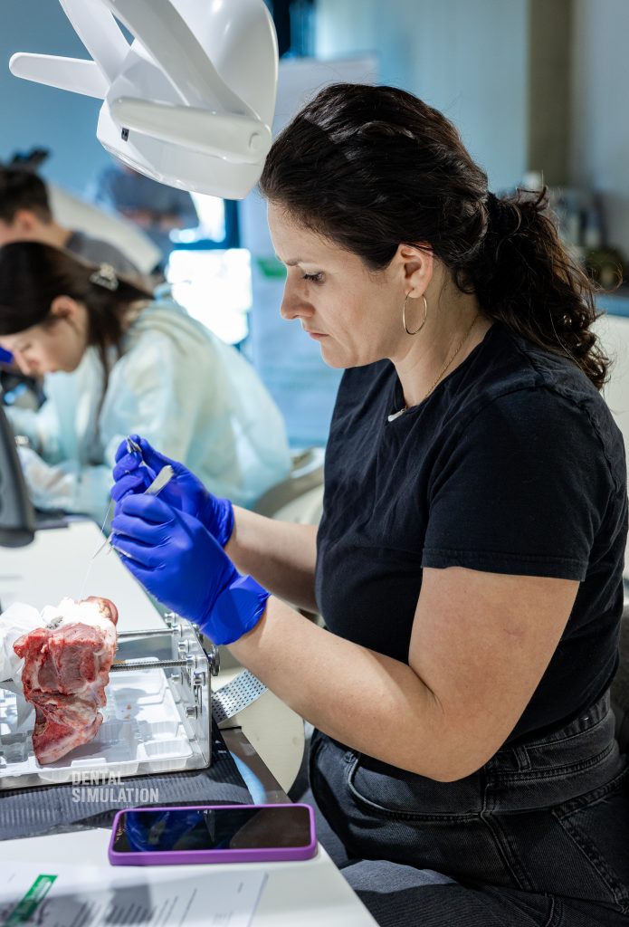 Dr. Mihnea Cafadaru Course Photo Gallery
