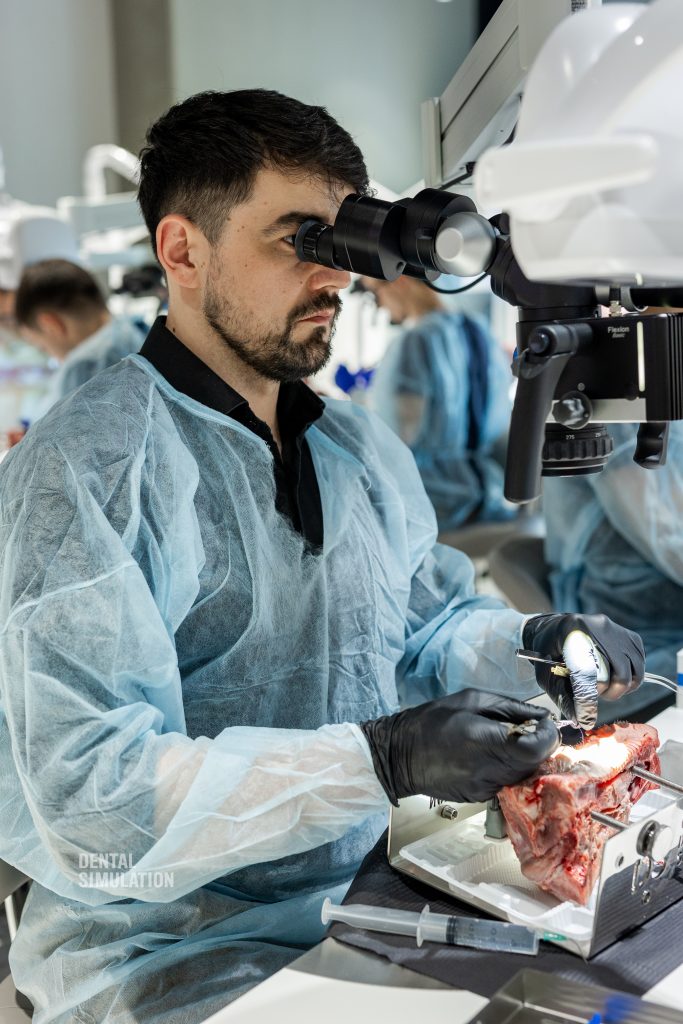 Dr. Mihnea Cafadaru Course Photo Gallery
