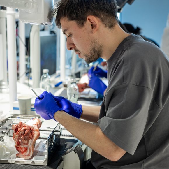 Dr. Mihnea Cafadaru Course Photo Gallery
