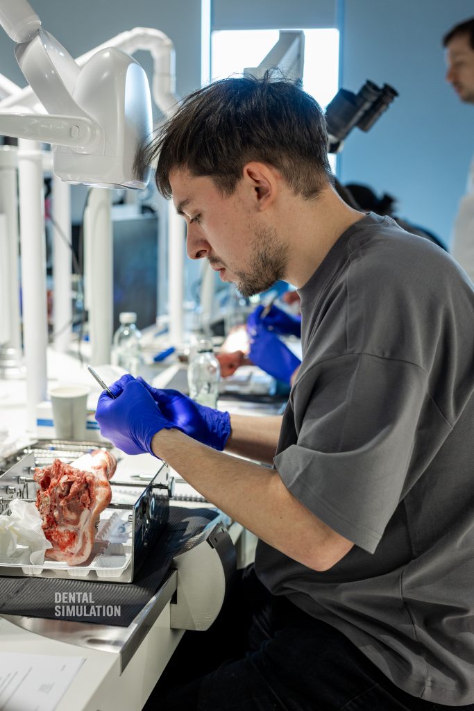 Dr. Mihnea Cafadaru Course Photo Gallery