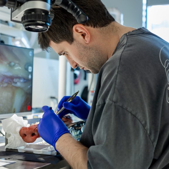 Dr. Mihnea Cafadaru Course Photo Gallery