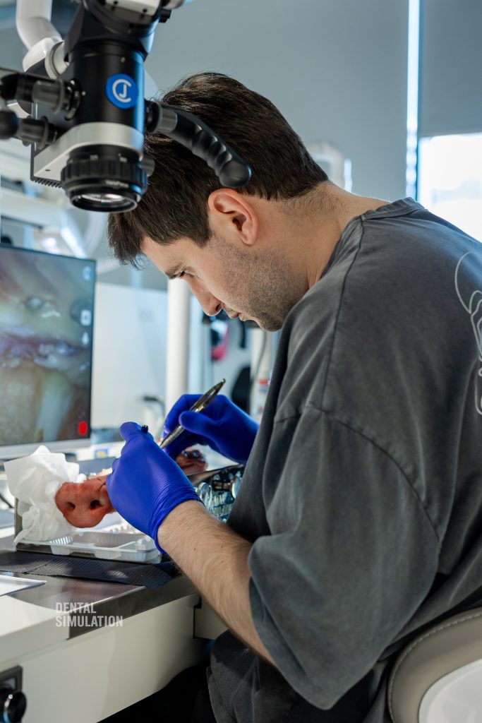 Dr. Mihnea Cafadaru Course Photo Gallery