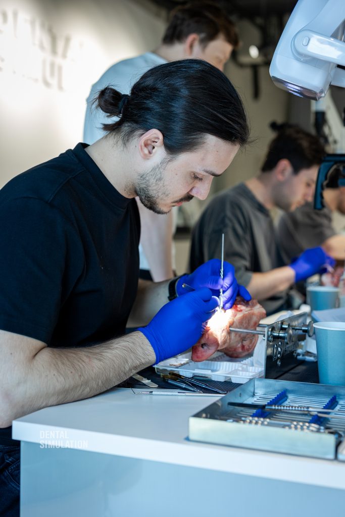 Dr. Mihnea Cafadaru Course Photo Gallery