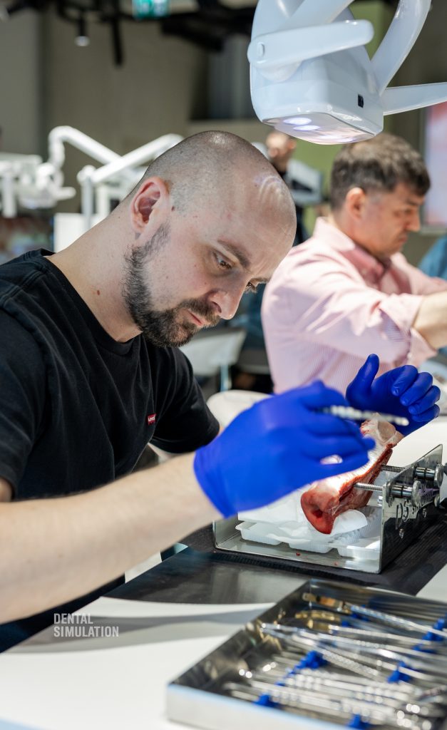 Dr. Mihnea Cafadaru Course Photo Gallery