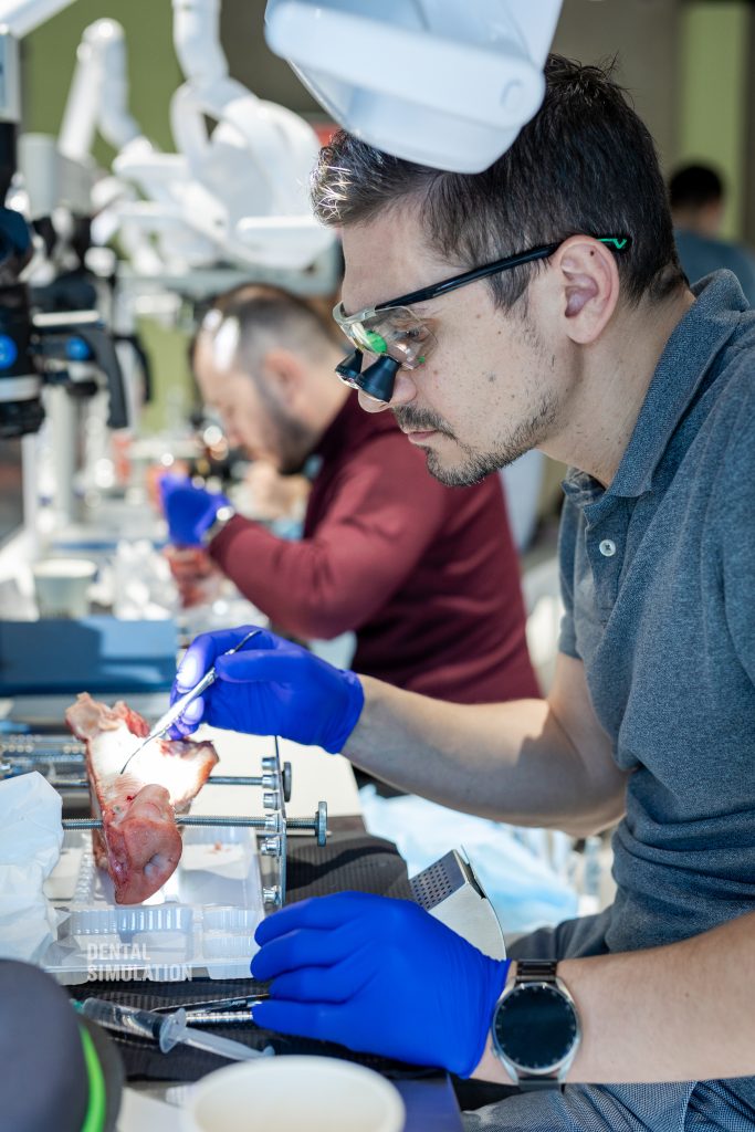 Dr. Mihnea Cafadaru Course Photo Gallery