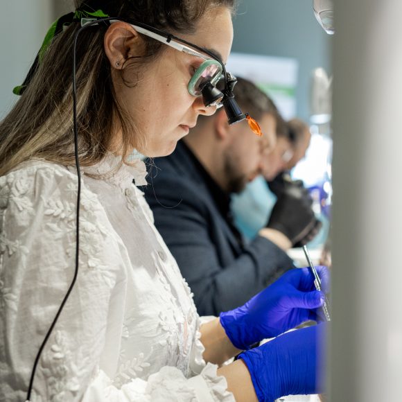 Dr. Mihnea Cafadaru Course Photo Gallery