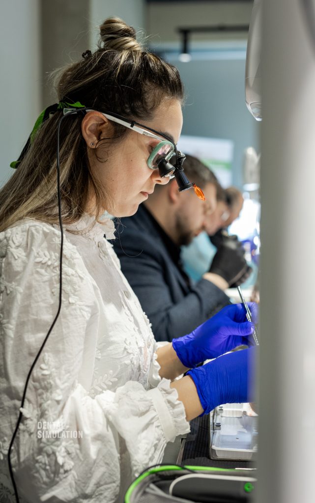 Dr. Mihnea Cafadaru Course Photo Gallery