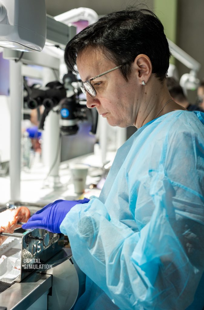 Dr. Mihnea Cafadaru Course Photo Gallery