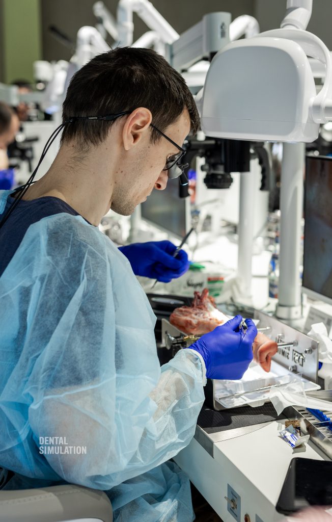 Dr. Mihnea Cafadaru Course Photo Gallery