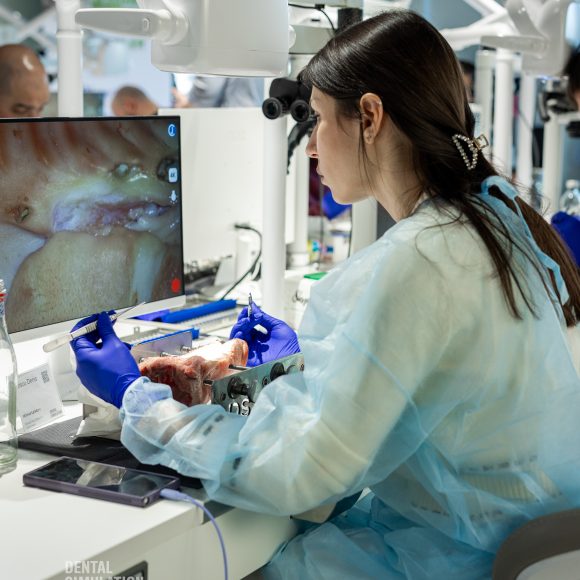 Dr. Mihnea Cafadaru Course Photo Gallery