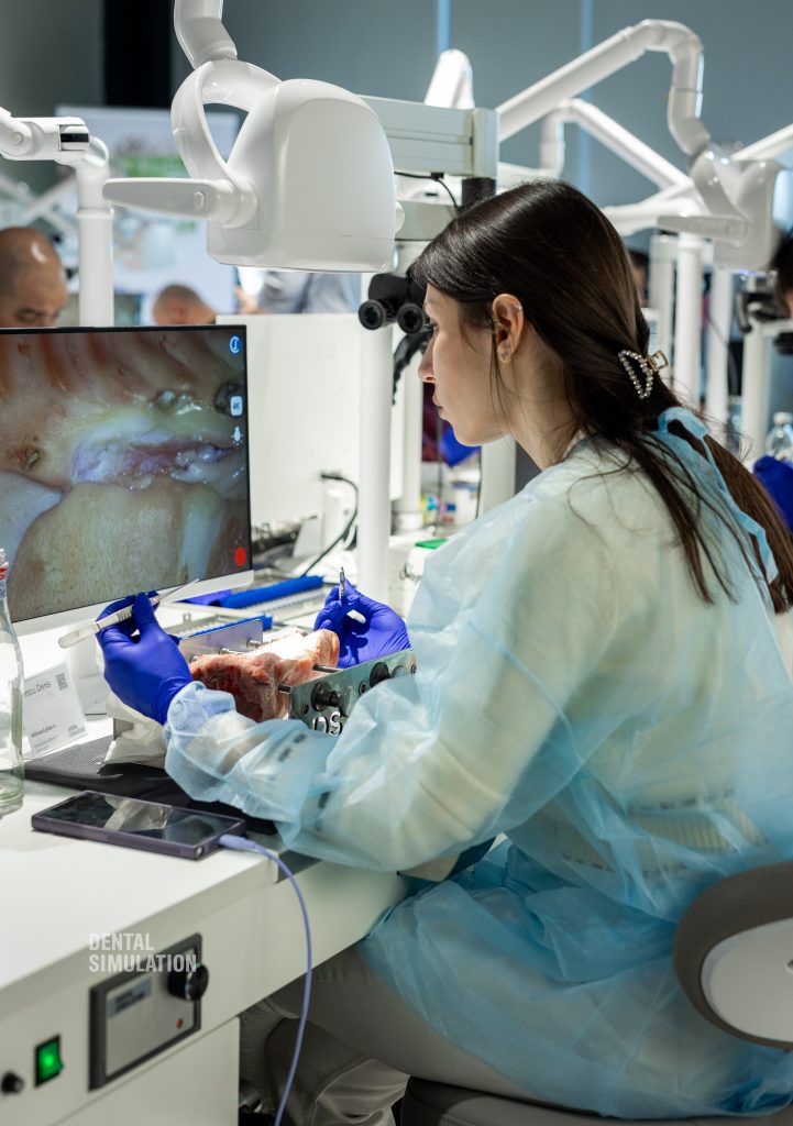 Dr. Mihnea Cafadaru Course Photo Gallery