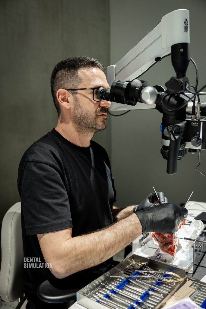 Dr. Mihnea Cafadaru Course Photo Gallery