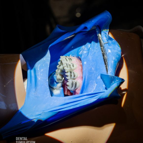 Dr. Lukas Lassmann Course Photo Gallery