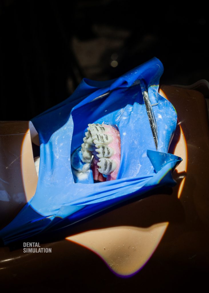 Dr. Lukas Lassmann Course Photo Gallery