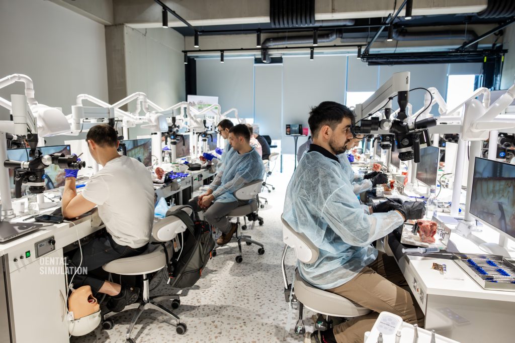 Dr. Mihnea Cafadaru Course Photo Gallery