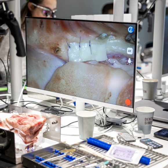 Dr. Mihnea Cafadaru Course Photo Gallery