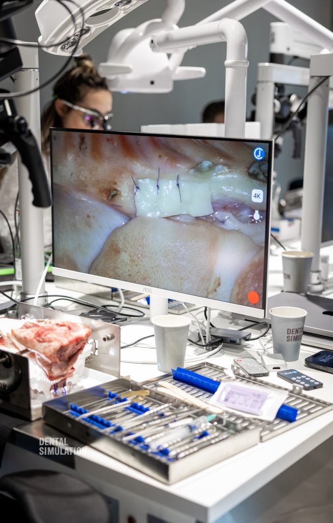 Dr. Mihnea Cafadaru Course Photo Gallery