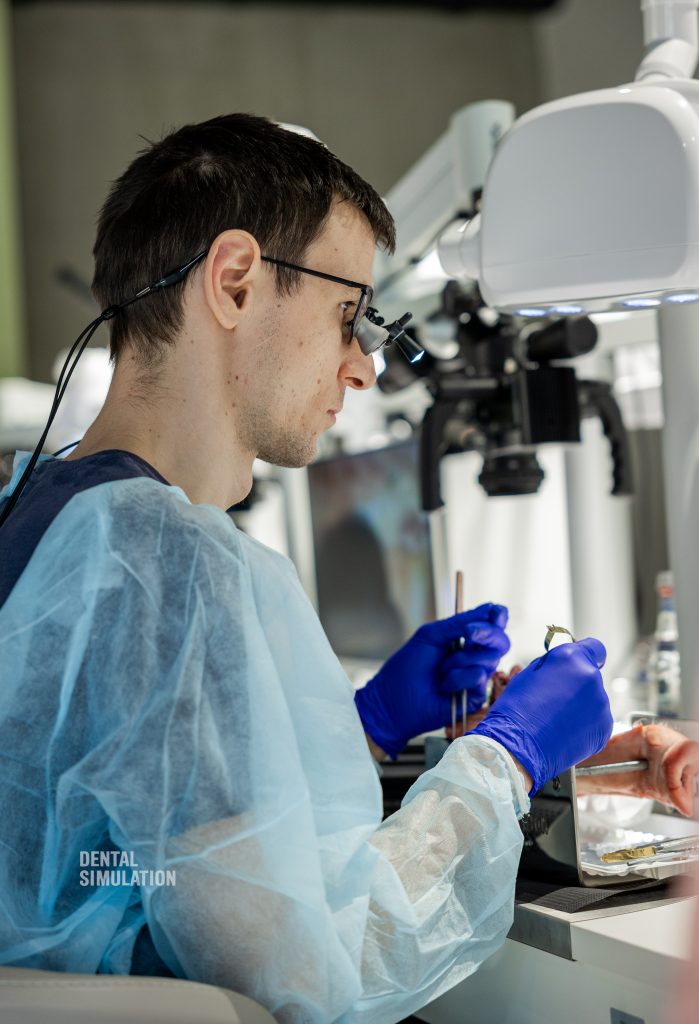 Dr. Mihnea Cafadaru Course Photo Gallery