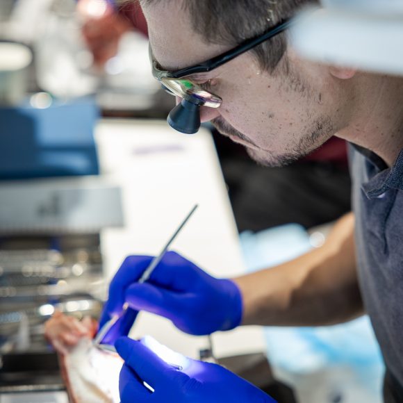 Dr. Mihnea Cafadaru Course Photo Gallery