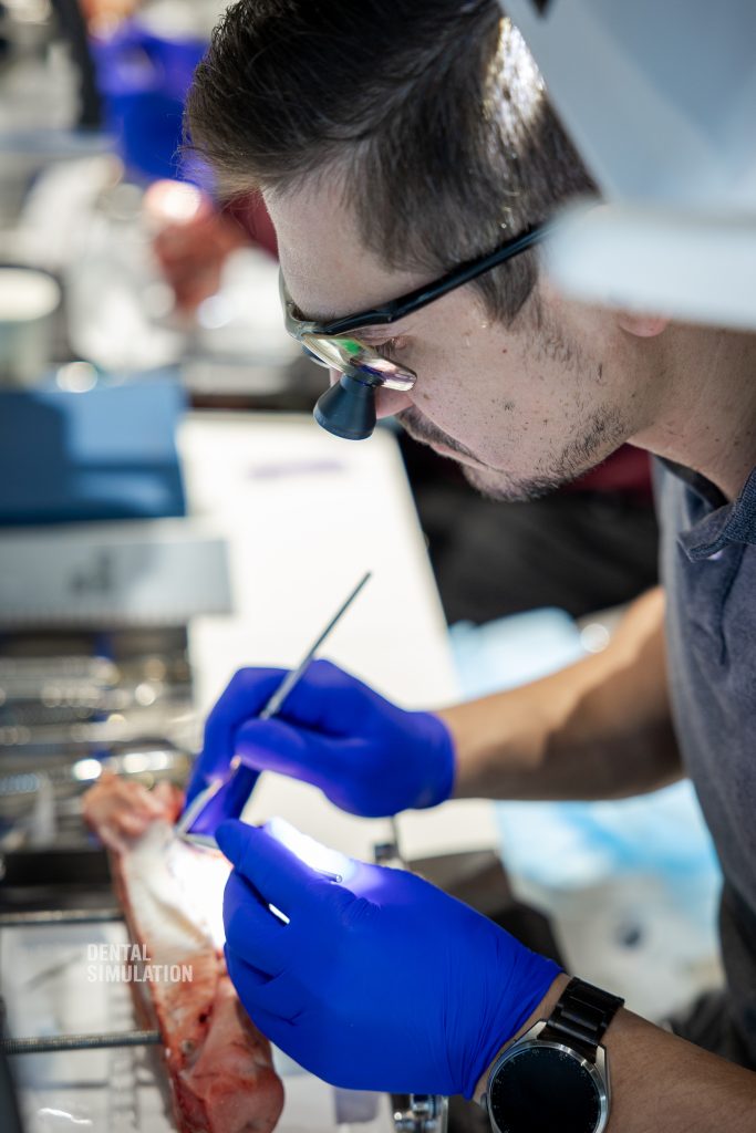 Dr. Mihnea Cafadaru Course Photo Gallery