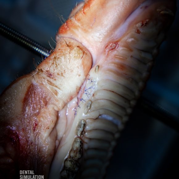 Dr. Mihnea Cafadaru Course Photo Gallery